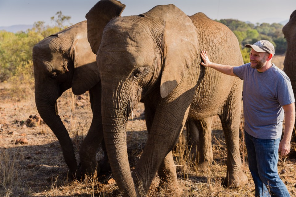 Elephant Walk Me Small